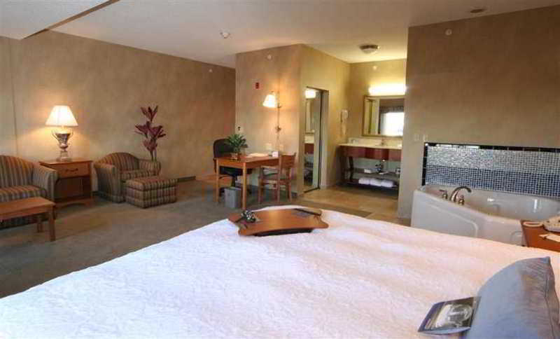 Hampton Inn Commerce/Novi Værelse billede